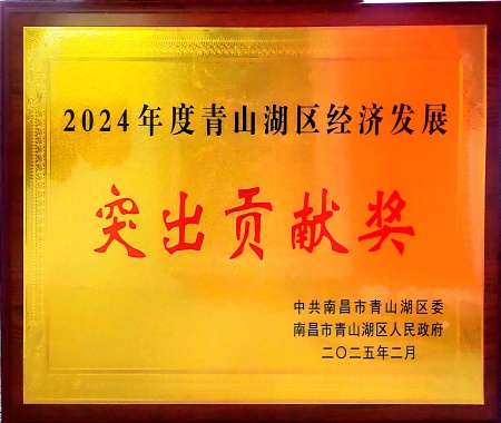 2024年度青山湖區(qū)經濟發(fā)展突出貢獻獎