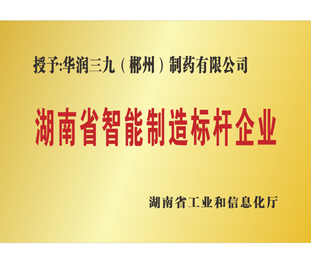 湖南省智能制造標桿企業(yè)
