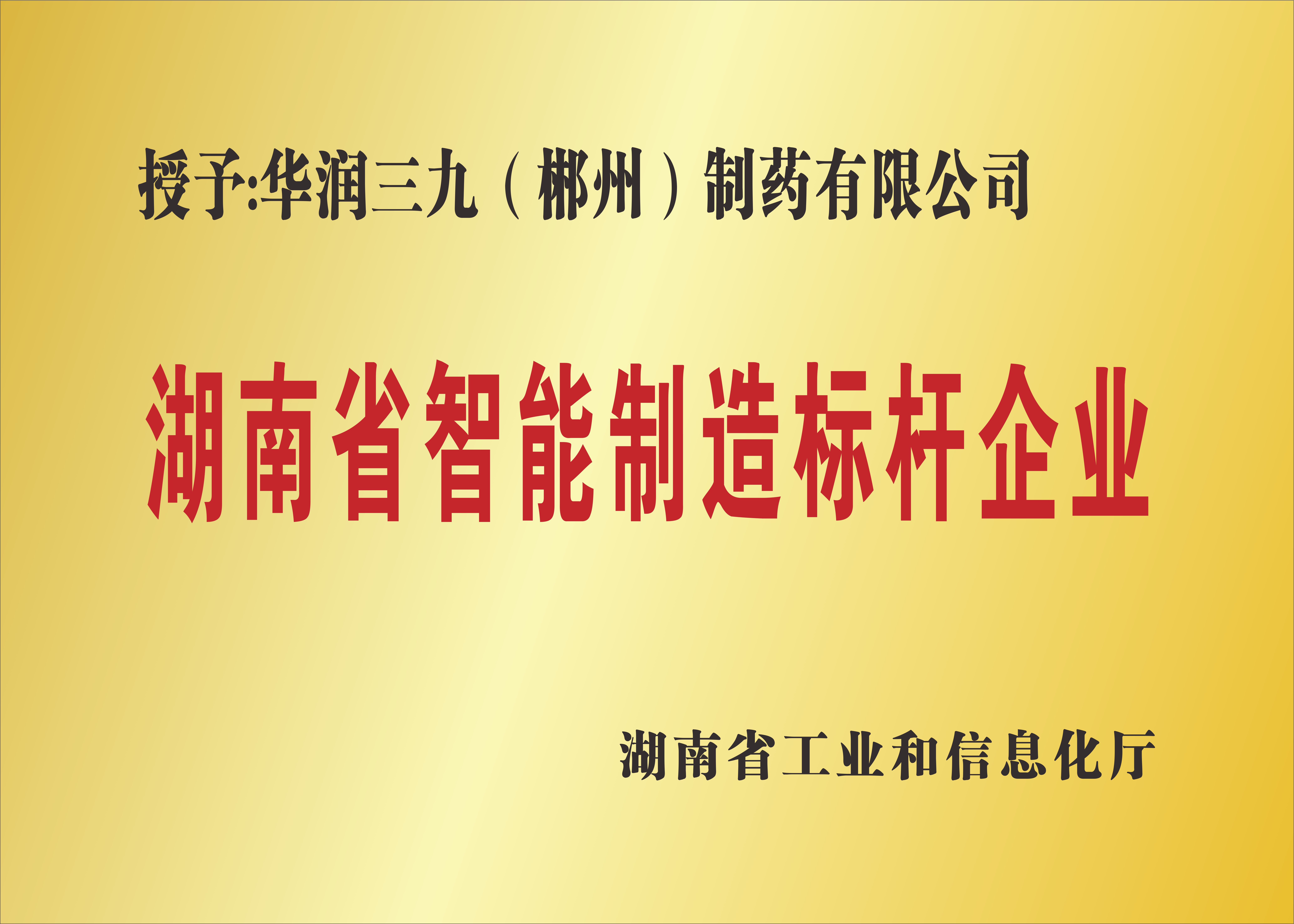 湖南省智能制造標桿企業(yè).jpg
